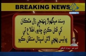 ٽ ٽ: تنوير مهر ڏهرڪي/ جوابدار زال کي قتل ڪري ڇڏيو