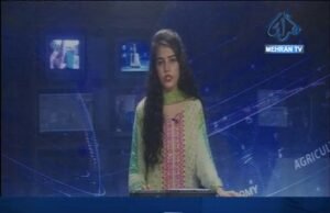 مٺي: وڌيڪ ٻن ڄڻن آپگهات ڪري ڇڏيو