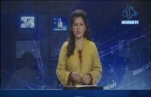 پ پ، پي ٽي آءِ ۽ ايم ڪيو ايم اجلاس