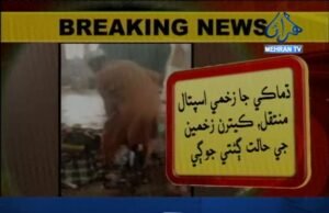 نيوز الرٽ/ پشاور ڌماڪو، 7 ڄڻا شهيد، 70 کان وڌيڪ زخمي