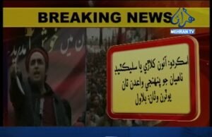 نيوزالرٽ: بلاول ڀٽو زرداري