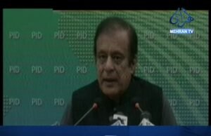 ملڪ ۾ هاڻي سياسي بدمعاشي هلڻ نه ڏينداسين: شبلي فراز