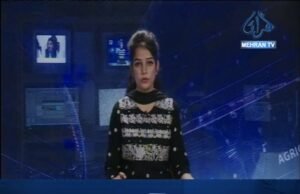 مخصوص فصلن جي انشورنس ڪرائڻ جو فيصلو