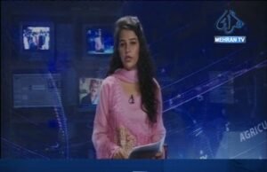 ميرپورخاص: رولو ڪتن ٽن ڄڻن کي ڏاڙهي وڌو