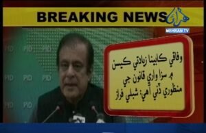 نيوز الرٽ وفاقي وزير شبلي فراز