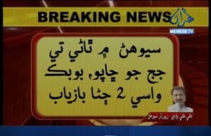 ٽ ٽ: ڪي ڪي بڙدي/ سيوهڻ ۾ ڇاپو، 2 ڄڻا بازياب