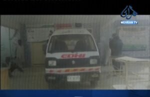 راڻيپور: رولو ڪتن ٻن ٻارڙن کي ڏاڙهي وڌو