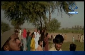 پنوعاقل: شادي ڇو نه ڪرائي…! نوجوان ٿنڀي تي چڙهي ويو