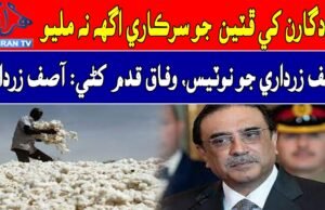 Former President Asif Zardari took notice of Cotton Price || Mehran TV News || 2023